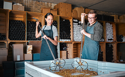 Buy stock photo Winemakers mixing and shaking grapes during the wine making process inside of a distillery. Cellar owners use a steel tool to press the juice out of fruit before fermentation to make alcohol