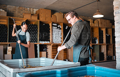 Buy stock photo Winemaker workers in the process of making wine with a wine press tool or equipment in a warehouse, winery or distillery. Woman, man or vintner people pressing juice of grapes for alcohol industry