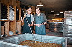 Agriculture, wine and vineyard workers in the alcohol  business, press grapes in distillery plant. Sustainability, nature and growth employee with checklist on quality in drink manufacturing industry