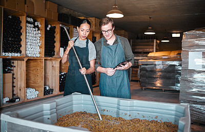 Buy stock photo Agriculture, wine and vineyard workers in the alcohol  business, press grapes in distillery plant. Sustainability, nature and growth employee with checklist on quality in drink manufacturing industry