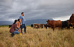 Agriculture, countryside family with cows on a farm or grass field with storm clouds in background. Sustainability mother, father and girl with cattle farm animals for beef or meat growth business
