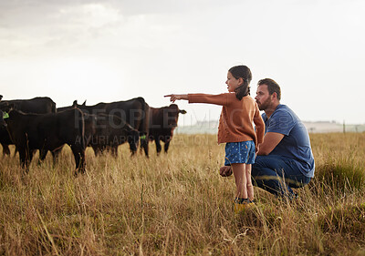 Buy stock photo Family, dairy farming and farmer with child, daughter and girl pointing, showing and watching cows or cattle. Father and curious kid bonding on farm estate with meat, beef and food industry livestock