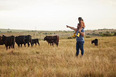 Buy stock photo Sustainability, nature and farmer teaching daughter how to care for livestock on a cattle farm. Loving parent bonding with his little child, enjoying fresh outdoors together and having fun in field