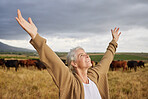 Sky, freedom and relax woman on countryside farm field standing on earth, field and grass with positive energy, wellness and peace. Nature, happy and smile on spiritual farmer girl looking at heaven