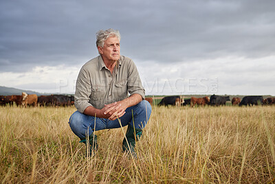 Buy stock photo Thinking, serious and professional farmer on a field with herd of cows and calves in a open nature grass field outside on cattle farm. Agriculture man, worker or business owner looking at countryside