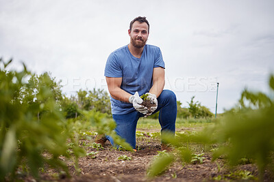 Buy stock photo Farmer planting, growing and holding crops, plant and agriculture in environment, organic garden and sustainability field. Portrait of man and farm worker caring for future of nature conservation