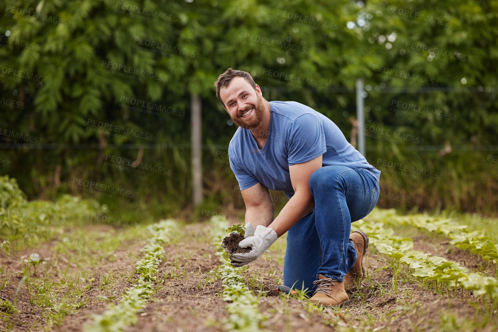 Buy stock photo Farmer planting plants or vegetable crops on an organic and sustainable farm and is happy for his seedlings. Excited, joyful and carefree male nature activist who is passionate about sustainability