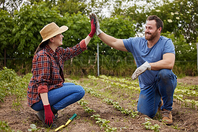 Buy stock photo Teamwork, agriculture and collaboration high five farmer couple planting organic crops while bonding. Sustainability farm partners excited to go green and begin new business with fresh vegetables 