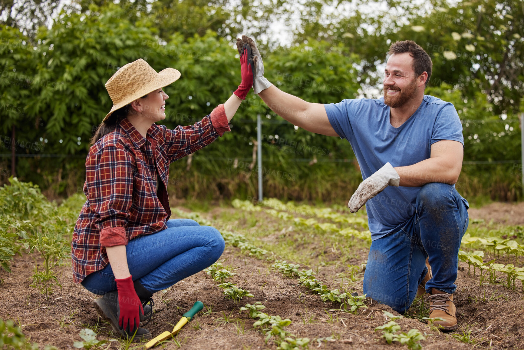 Buy stock photo Teamwork, agriculture and collaboration high five farmer couple planting organic crops while bonding. Sustainability farm partners excited to go green and begin new business with fresh vegetables 