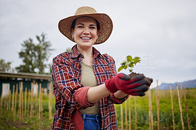 Buy stock photo Farm, growth and sustainability with a woman farmer holding a plant, soil or green leaf in the farming and agriculture industry. Gardening, ecology and eco friendly care with a female in a field