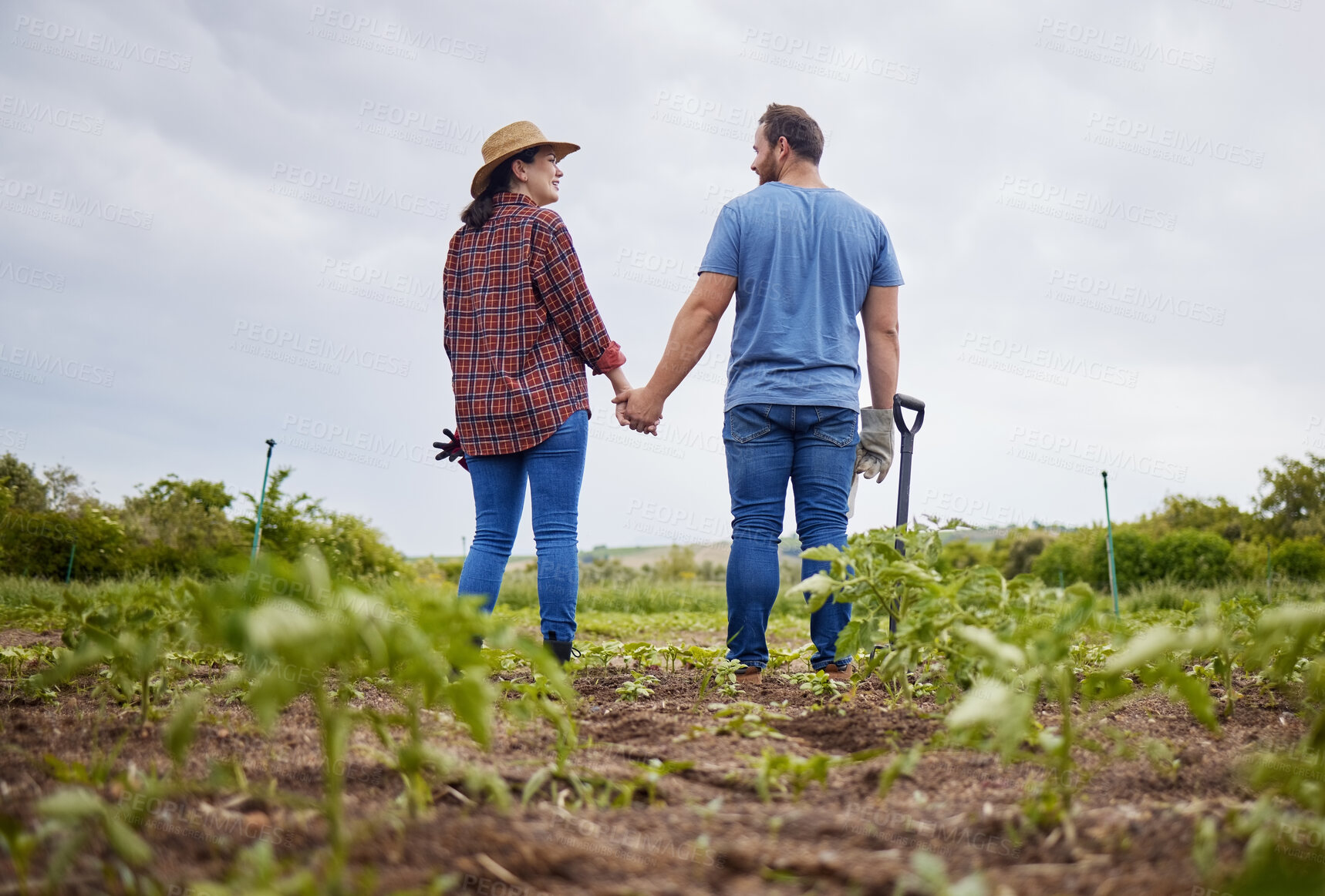 Buy stock photo Farmer couple happy about agriculture growth with vegetable crops or plants in aorganic or sustainability farm or garden. Man and woman in nature love and enjoying outdoor and having fun together