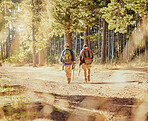 Hikers or tourists hiking on a dirt trail outdoor in nature or a forest on a sunny summer day near trees. Active and fit men or friends trekking or walking while on an adventure in the woods