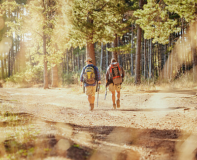 Buy stock photo Friends or hikers hiking in a forest in nature on a dirt trail outdoors on a sunny summer day near trees. Active and fit men or tourists trekking or walking while on an adventure in the woods