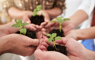 Buy stock photo Green economy plant, hands and vision goal for future innovation, growth and sustainability. Zoom on people diversity, teamwork friends or agriculture workers with environment success accountability