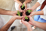 Hands, plant and sustainability in a group of people together in a circle or huddle. Community collaboration for growth, trust and eco friendly agriculture with soil, dirt and hope and green plants