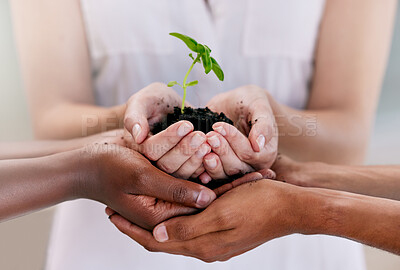 Buy stock photo Growth, teamwork and sustainability plant support hands of business people holding soil with leaf or flower. Sustainable, community and eco friends palms in collaboration for earth day or development