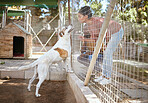 Fence, dog and adoption at animal shelter with black couple playing with animal. Empathy, foster care and man and woman bonding, enjoying time and having fun with excited pet at vet, kennel or pound.