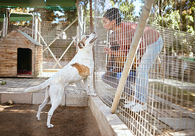 Buy stock photo Fence, dog and adoption at animal shelter with black couple playing with animal. Empathy, foster care and man and woman bonding, enjoying time and having fun with excited pet at vet, kennel or pound.