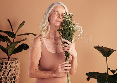 Buy stock photo Senior woman, face skincare or flowers on studio background in mature self love, organic dermatology or vegan facial treatment. Middle aged, beauty model or green leaf plants for relax body wellness