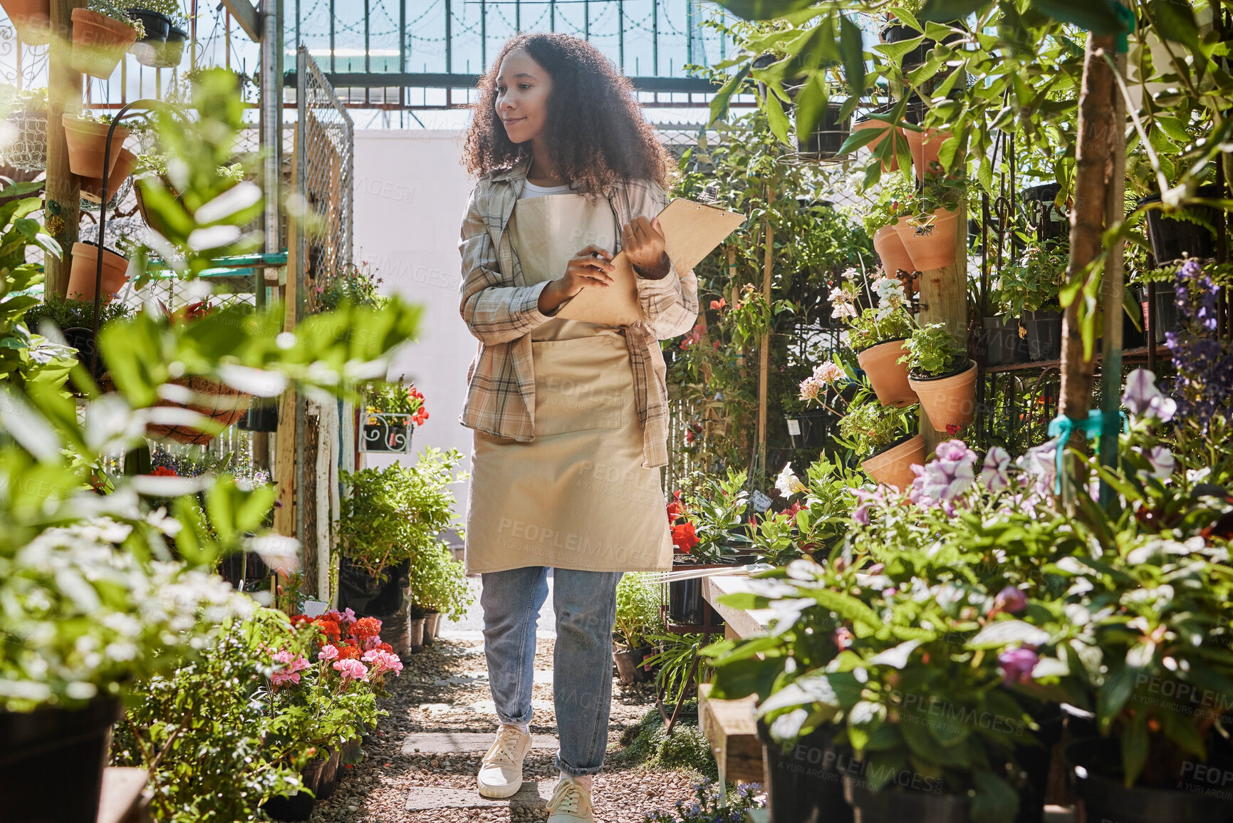 Buy stock photo Store, flowers or black woman with checklist for quality control or quality assurance monitoring plants growth. Small business, gardening or florist worker writing on clipboard for floral inspection