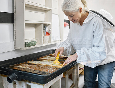 Buy stock photo Beekeeper woman, uncapping fork and honey production in apiary workshop, factory or warehouse. Bee farmer, honeycomb and beeswax in agriculture workspace, farming and organic process in Los Angeles