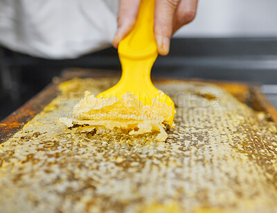 Buy stock photo Hands, beekeeper or uncapping tool in honeycomb extraction, organic harvesting or healthy food collection. Zoom, worker or insect bees farmer with equipment, wooden frame box or nutrition agriculture