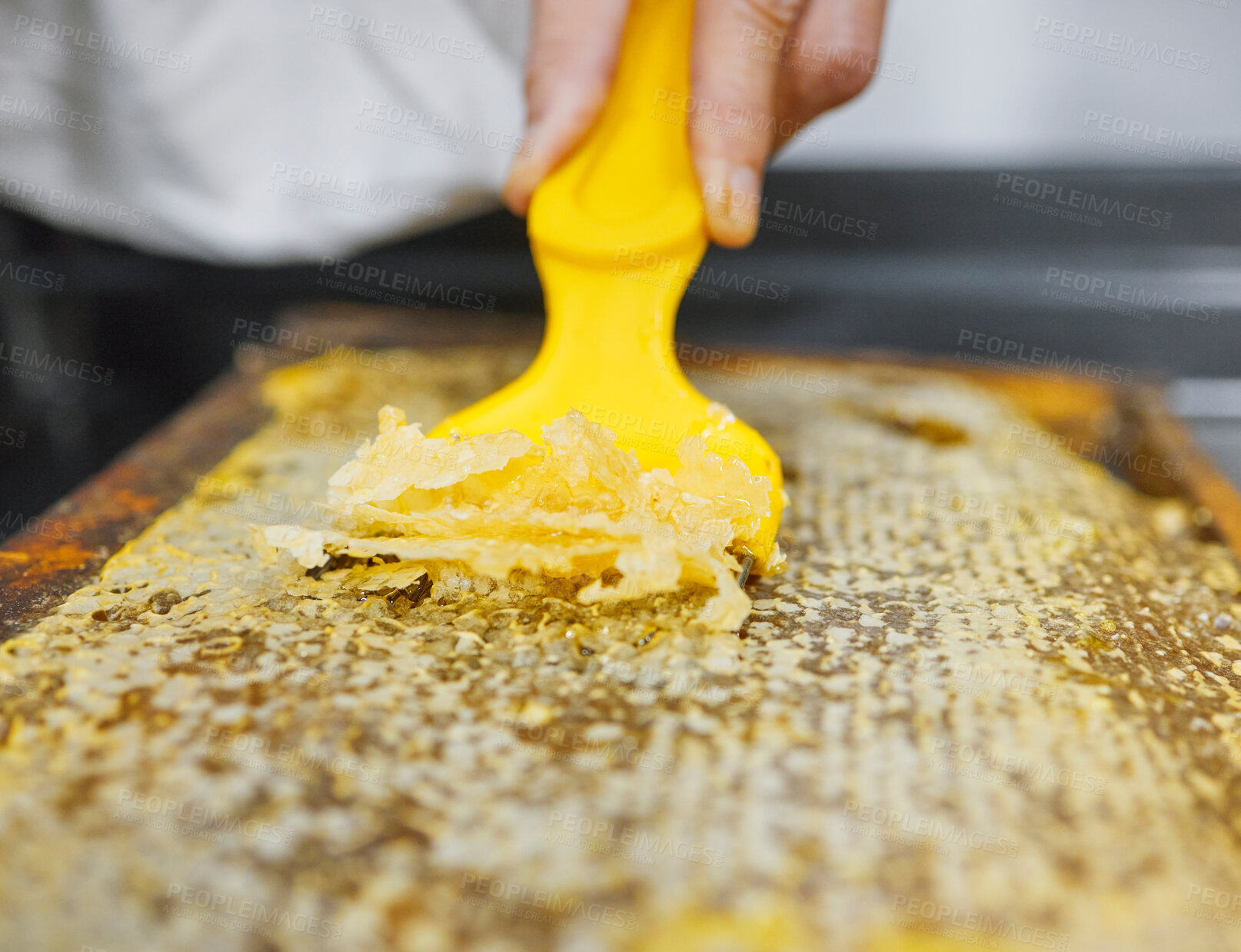 Buy stock photo Hands, beekeeper or uncapping tool in honeycomb extraction, organic harvesting or healthy food collection. Zoom, worker or insect bees farmer with equipment, wooden frame box or nutrition agriculture