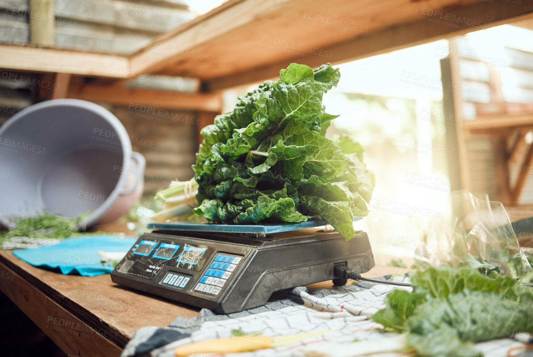 Buy stock photo Grocery, agriculture and closeup of farmer scale to weigh vegetables. Healthy nutrition and lifestyle store or local farming plant. Sustainability in the food industry and organic consumers diet.