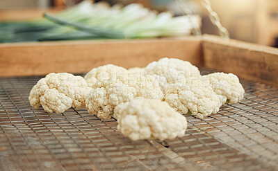 Buy stock photo Agriculture cauliflower vegetables for nutrition, sustainability and health from eco friendly farm or farming market close up. Countryside sustainable organic vegetable for healthy vegan food diet