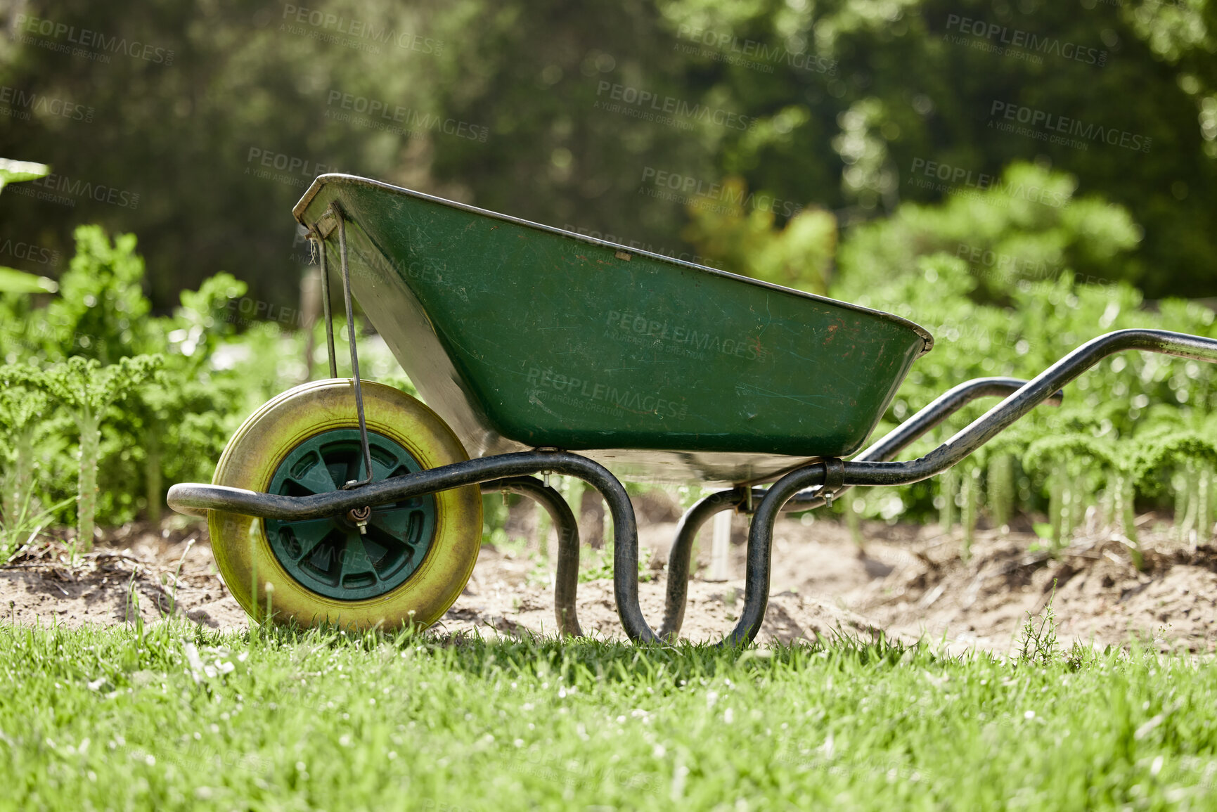 Buy stock photo Farm or garden wheelbarrow on nature, agriculture environment or green countryside field used for farming work. Gardening equipment for lawn with sustainable grass, flower and plant growth