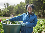 Farm hand, agriculture farmer and sustainability worker working on a green plant growth in a field. Natural environment and sustainable garden and ecology with a woman farming in the countryside