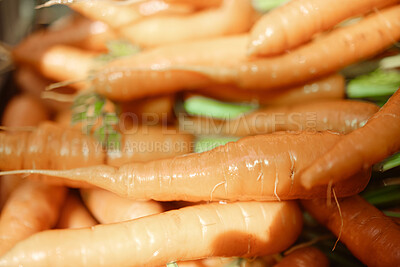 Buy stock photo Agriculture, vegetables and plants in nature for healthy diet, sustainable lifestyle and natural farming in the countryside. Organic, green and orange carrot on farm for market and vitamin nutrition