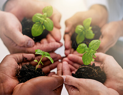 Buy stock photo Hands of people with soil, green plant or seedling for agriculture growth, farming and earth day. Hope, nature and  farmer, gardening or planting seeds for healthy food and environment protection