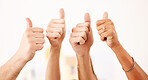 Group thumbs up, vote or like hand emoji sign or gesture closeup on white wall mockup. Thank you, yes or support sign, icon or gesture for trust, agreement or social media review with mock up