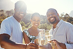 Wine glasses, champagne and friends portrait in a park, vineyard or green nature celebration for summer vacation. Happy, friendship and alcohol with black people and woman smile, drink and lens flare
