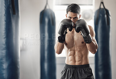 Buy stock photo Boxer, cardio and man training with boxing gloves for sport, workout and exercise in gym. Athlete with motivation, strength and muscle practicing for match with fitness, health and wellness lifestyle