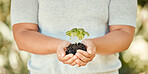 Hand, plant and soil with growth in the hands of a woman for sustainability and development of an eco friendly environment or eco system. Sustainable, organic and green with plants growing in dirt