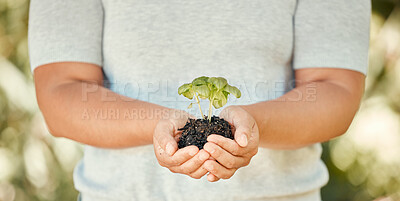 Buy stock photo Hand, plant and soil with growth in the hands of a woman for sustainability and development of an eco friendly environment or eco system. Sustainable, organic and green with plants growing in dirt