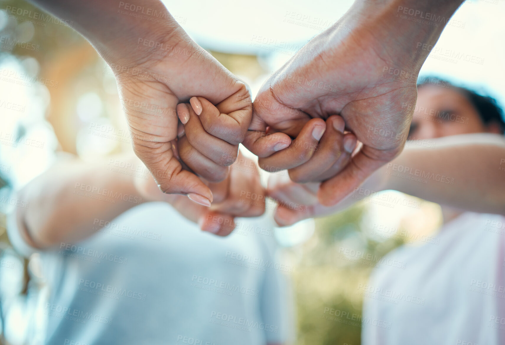 Buy stock photo Fist, hands or support with nature friends in park for sustainability, earth or planet growth motivation. Diversity zoom, teamwork or collaboration of environment volunteer people in recycle charity