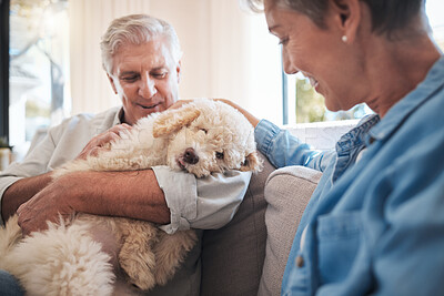 Buy stock photo Retirement, dog and senior couple love, hug and care for puppy on sofa in a home for mental health and wellness. Elderly pension people on couch together with adopted animal pet friend for loyalty