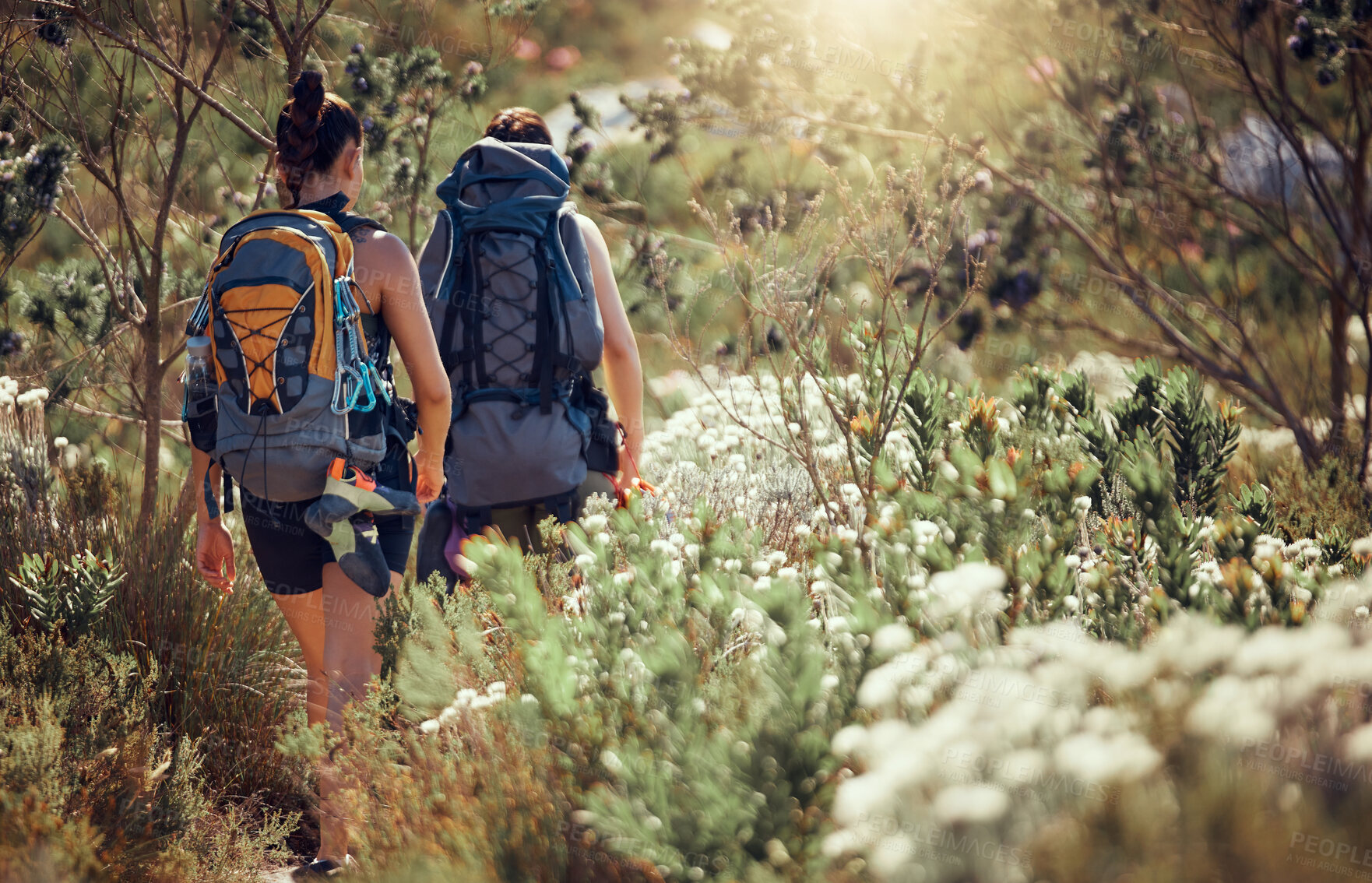 Buy stock photo Women, backpack and hiking in nature environment, countryside landscape or spring forest with trees and flowers. Fitness freedom, workout or camping friends walking in plant growth in summer exercise