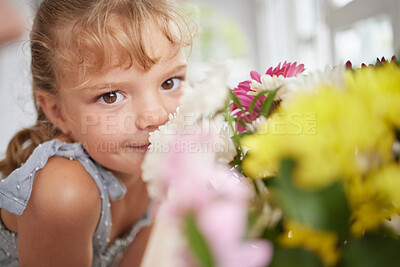 Buy stock photo Flower smell and little girl in spring portrait with beautiful bouquet of fresh daisies aroma. Young child enjoying sweet and natural scent of bright floral garden petals in family home.

