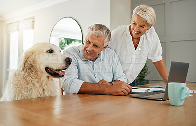 Buy stock photo Happy senior couple in Australia home with dog, elderly man planning retirement budget on laptop and internet connection. Research finance in living room, pet relax in family time and woman smile