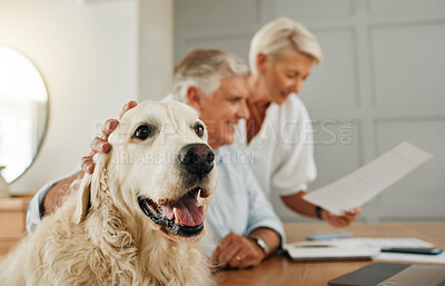 Buy stock photo Senior, elderly couple and dog pet of people in a home looking at contracts and documents. Happiness of a man, woman and animal in retirement looking at life insurance policy paperwork or document