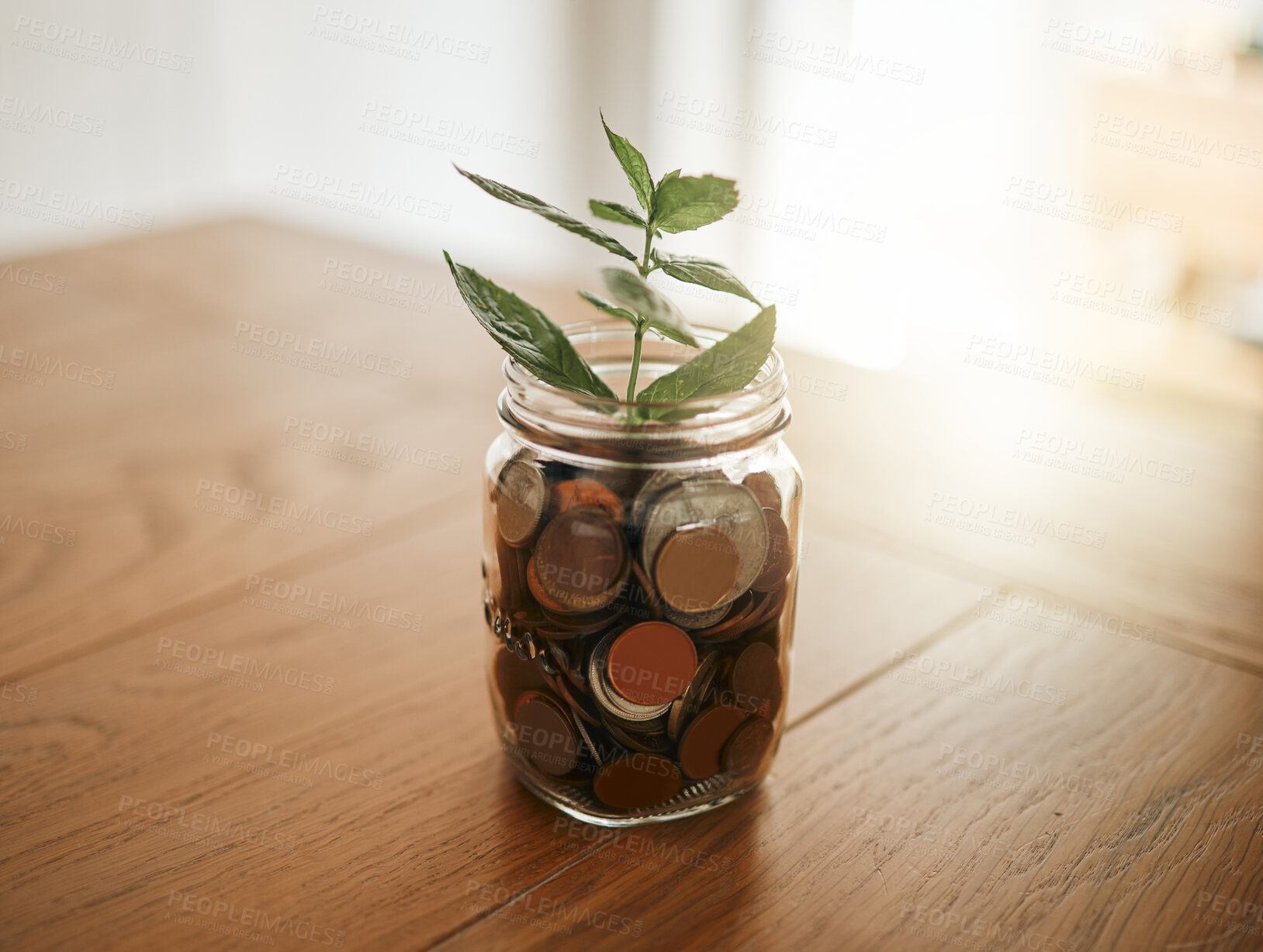 Buy stock photo Growth, investment and economy with money and plant in a glass for financial, cash and savings planning. Future, sustainability and cash for budget, investing and finance with coins in a jar