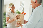 Home delivery service, fresh vegetables and customer paper bag logistics of healthy groceries at front door house. Happy woman courier giving organic grocery shopping package to senior consumer man