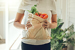 Healthy groceries, vegetables and home delivery with a brown paper bag with organic, fresh and vegan ingredients or produce from the market to doorstep. Hands of female holding vegetarian food inside