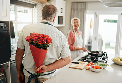 Buy stock photo Roses, gift and senior couple love flowers to celebrate their marriage anniversary in a romantic way at home. Romance, happy and old man giving wife a bouquet for a happy birthday surprise present