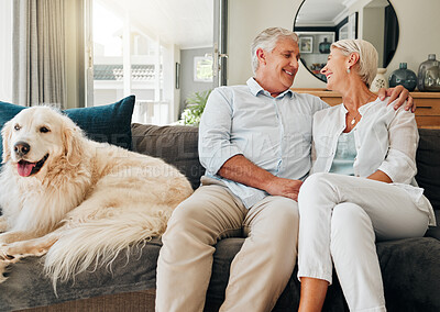 Buy stock photo Happy senior couple, with dog in living room, embrace retirement life in Houston and elderly romance together. Old woman married to man, smile on sofa with labrador pet and sweet relationship at home