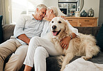 Love, retirement and dog with couple on sofa in living room for happy, family and care. Smile, relax and pet with old man and elderly woman together at home for marriage, support and wellness